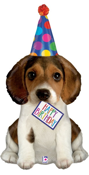 Birthday pupppy c - 41"