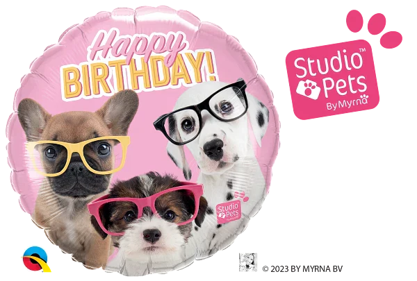 Bday puppies w/glasss 18" - 18"