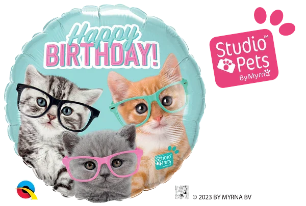 Bday kittens w/glasss 18" - 18"