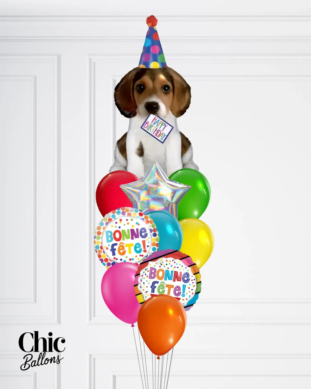 Bouquet de ballons - Chien