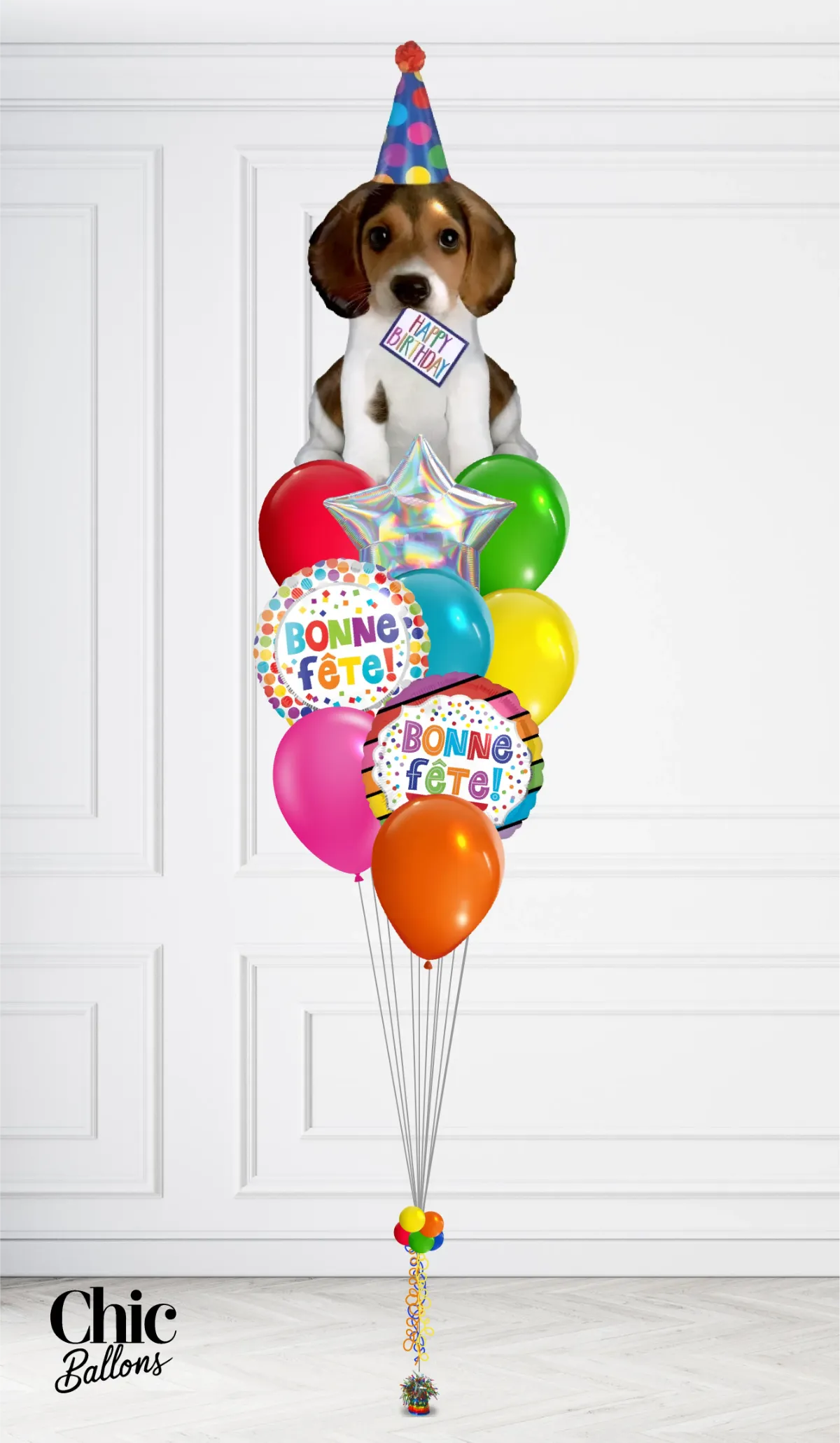 Bouquet de ballons - Chien