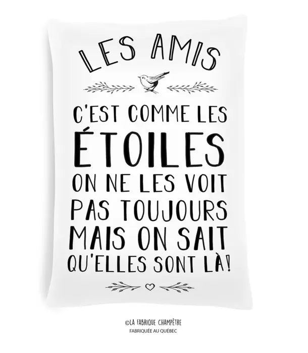 Coussin - “Les amis“