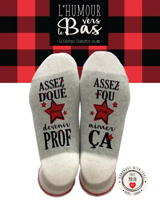 Bas de laine "Assez doué pour devenir prof, assez fou pour aimer ça!"